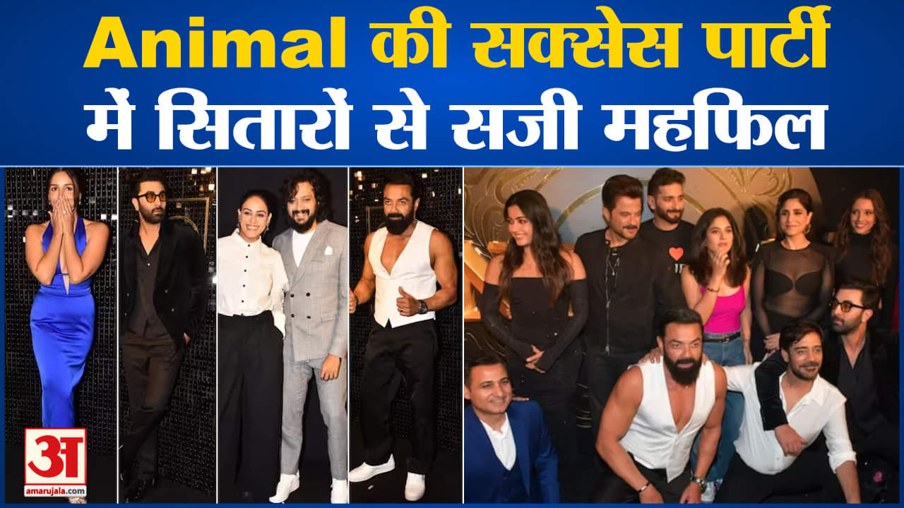 Animal Success Party