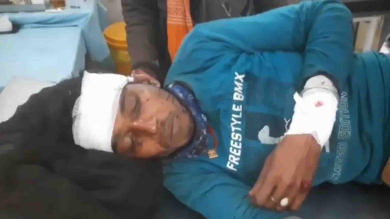 Bear attacks shepherd in Damoh Balakot forest