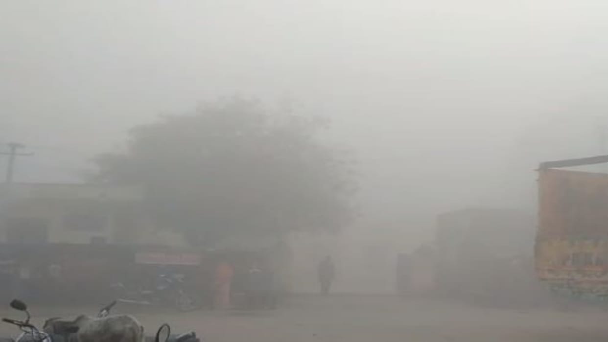 ajasthan Weather Forecast Today: IMD Rain Alert for Jaipur, Udaipur, Kota, Ajmer Dense Fog Severe Cold Wave