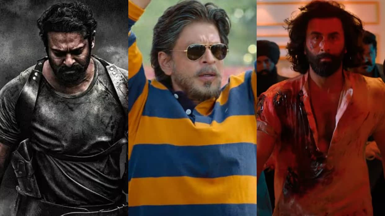 Tuesday Box Office Collection Report Prabhas starrer Salaar Shah Rukh Khan Dunki and Animal Total earnings