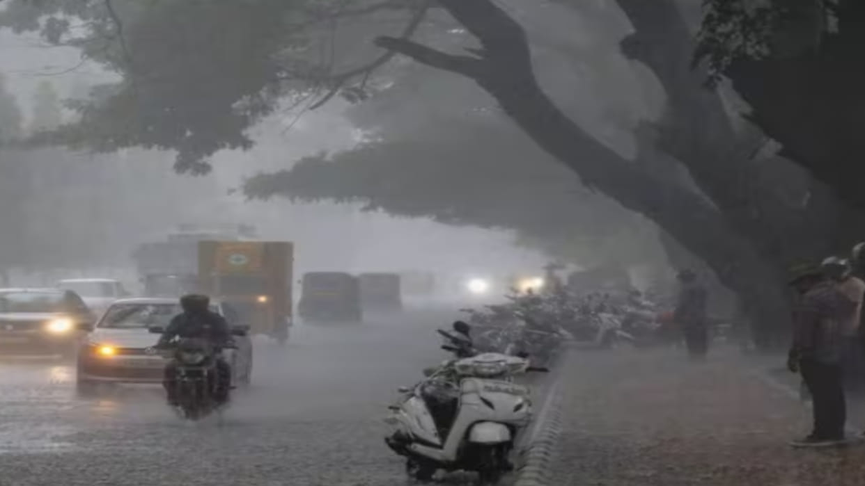 Umaria Weather Update Today: Severe Cold, Dense Fog in Umaria Mausam News in Hindi
