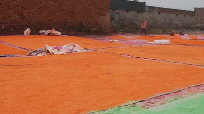 गुलाल का निर्माण होते हुए