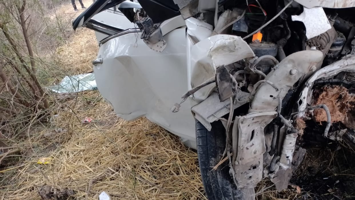Haryana Road Accident: Uncontrolled Car Collides With A Tree In Sirsa, Six Died