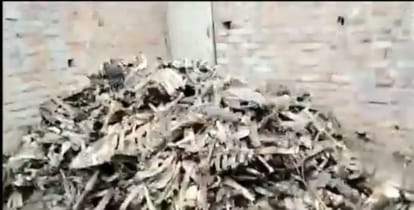 Police found 4200 kg bones of animals in the butcher market of Damoh, which were being loaded in a mini truck.