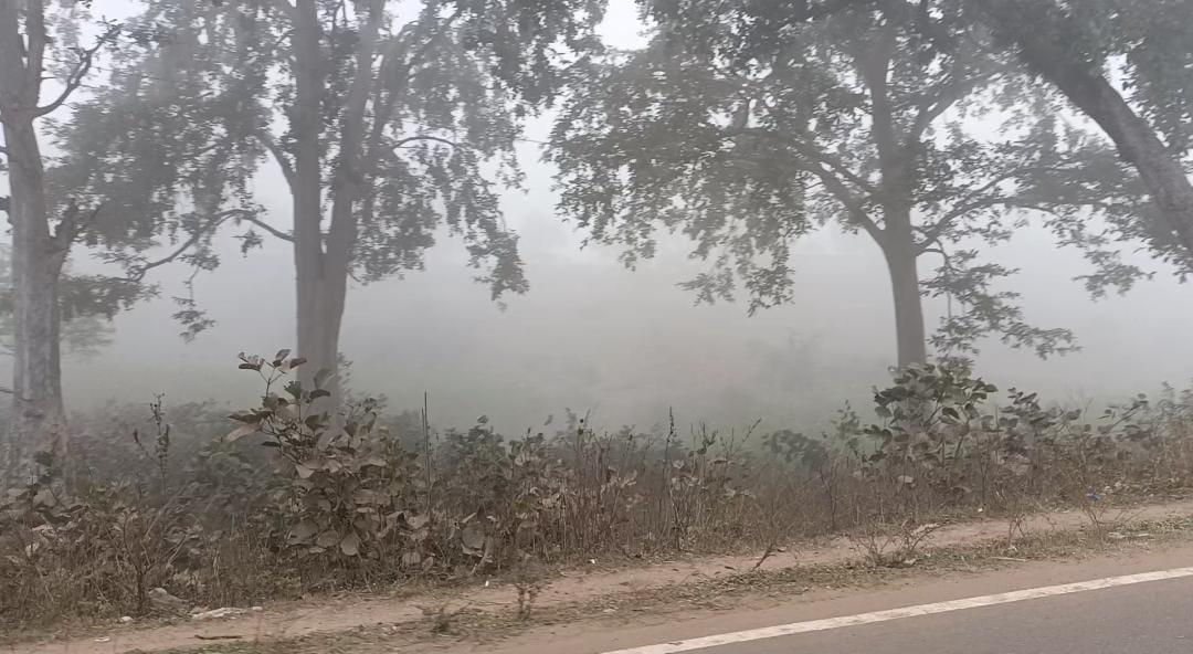 MP Weather Update: Temperature torture continues in the state, rain increases cold