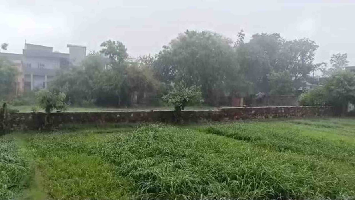 Weather News: Rain increases chill in Sawai Madhopur