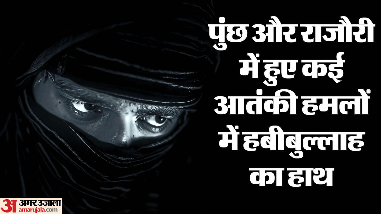 NIA: Pakistani terrorist Habibullah malik conspired to attack security forces in Jammu Kashmir