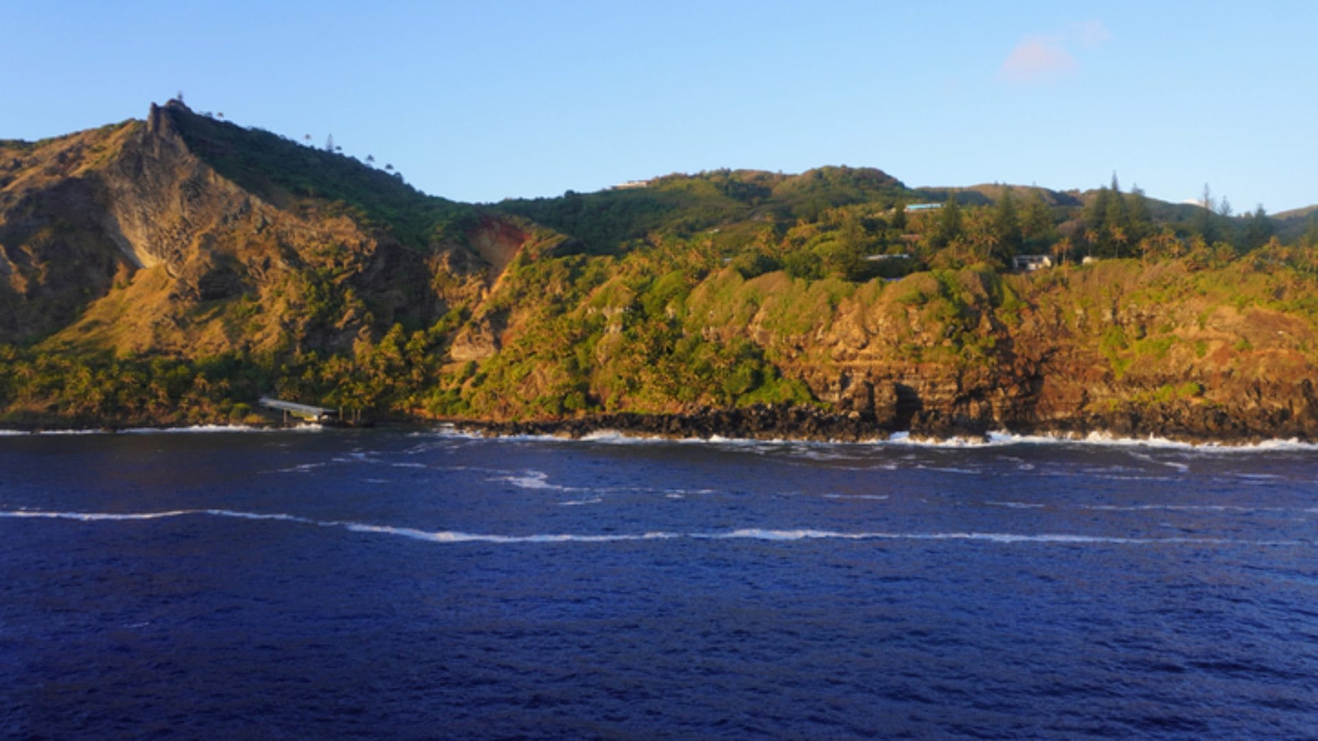 Viral News Pitcairn island offering free land and residency know the reason behind it