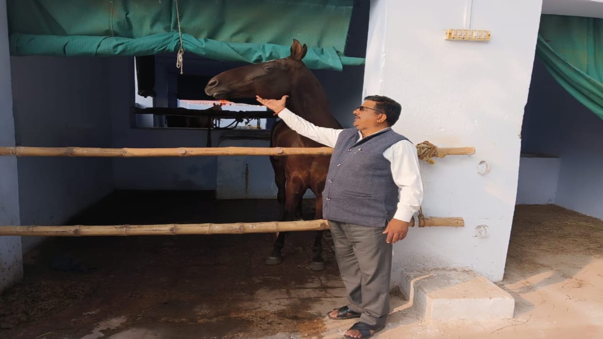 Kathiawadi police is monitoring with horses, many measures are taken to keep the horses agile.