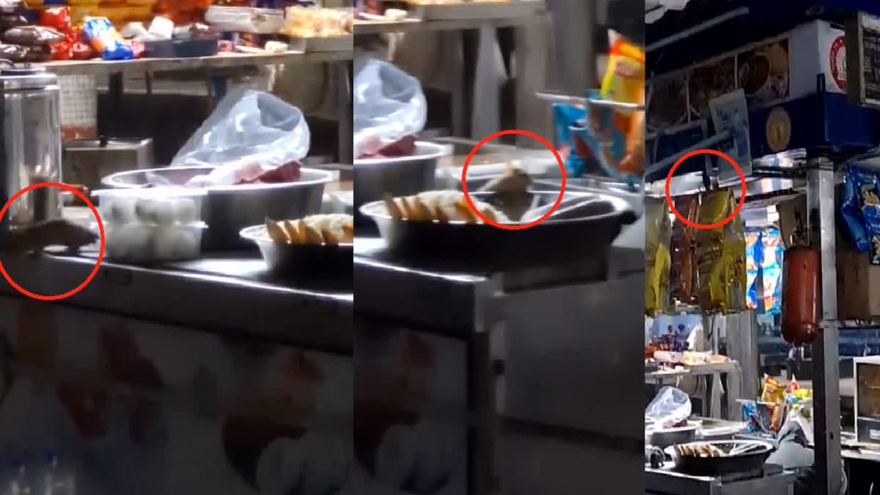 irctc railway station food stall rats feeding food on irctc stall viral video rats MP itarasi
