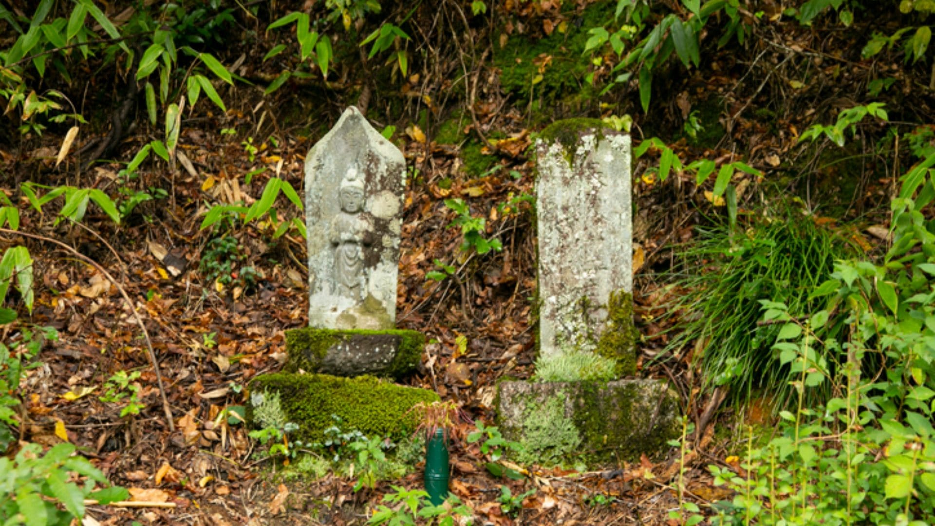 Monks poisoned themselves with 1,000-day diet so their fat-free corpses wouldn't rot