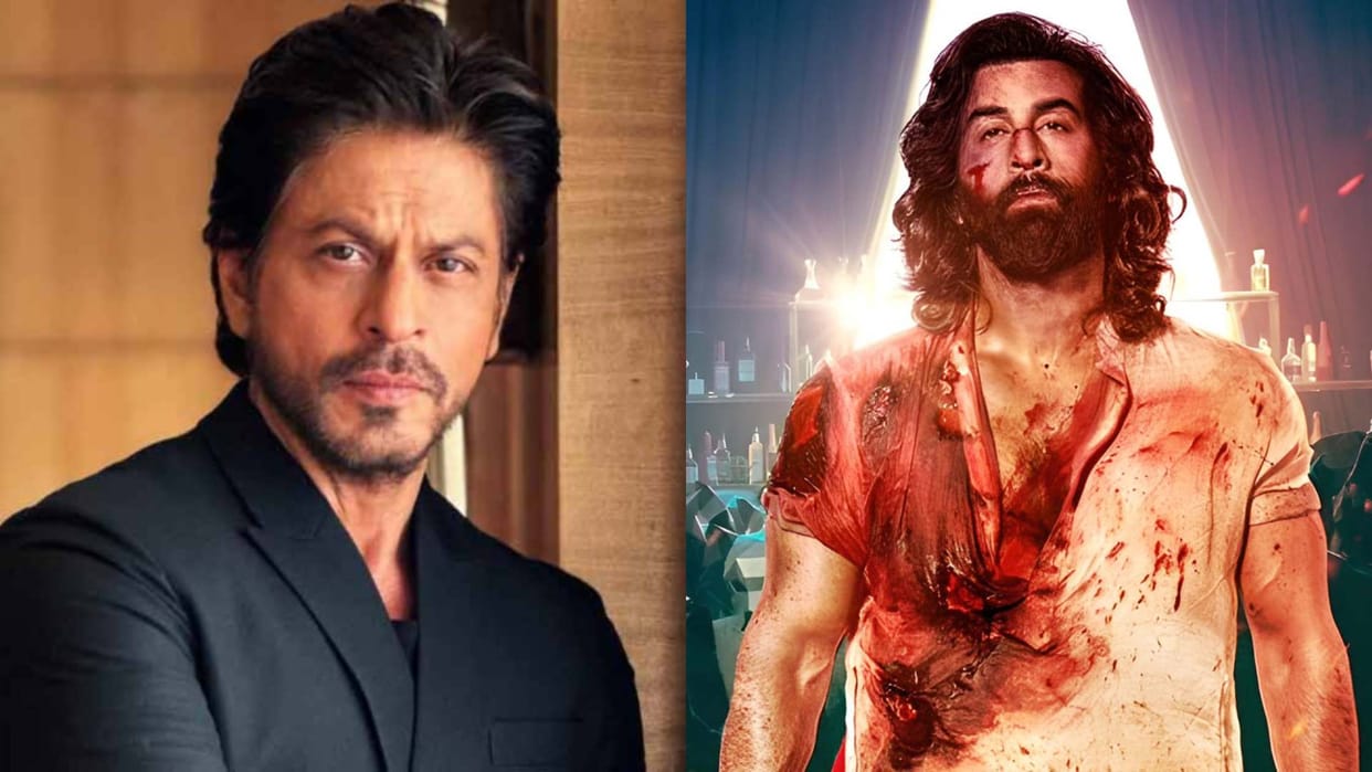Dunki Star Shah Rukh Khan reaction on glorifying violence in Sandeep Reddy Vanga film Animal as per report