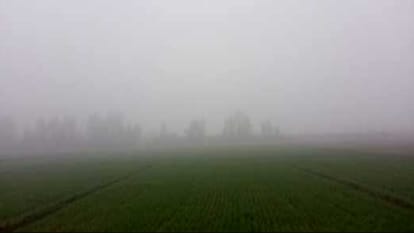 Cold wave is not slowing down in Western UP, today is the coldest in last ten years