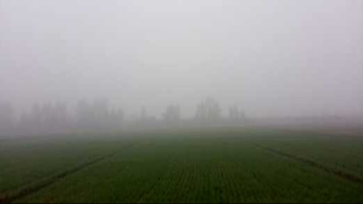 District in grip of cold wave, minimum temperature dropped to 2.5 degrees