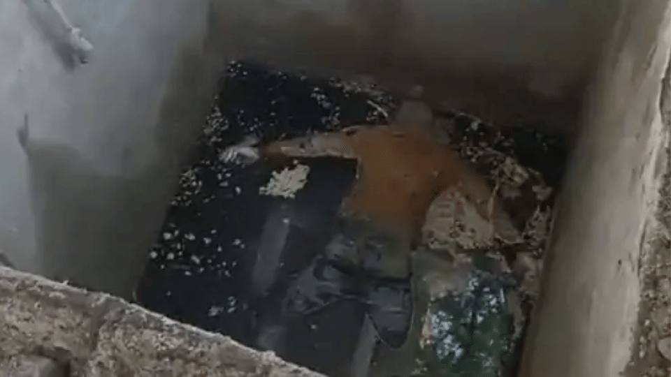 Four day old dead body found in the tank of Press Complex in Indore