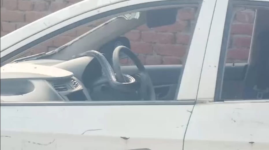 King cobra came out of the hole in winter, created a stir after entering the car, forest department team did t