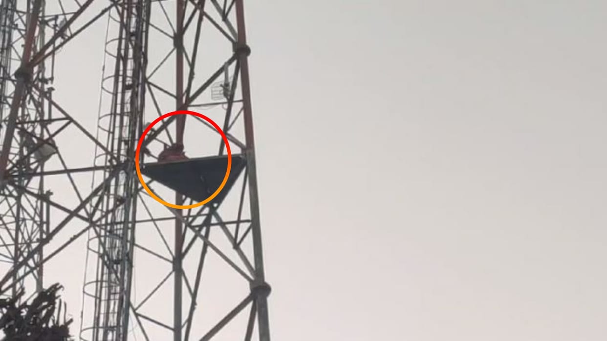 Dausa news Youth climbs tower in Sikrai demands opening of road