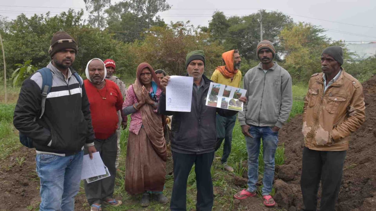 Farmers appeal to Chief Minister to save 200 trees in Ujjain