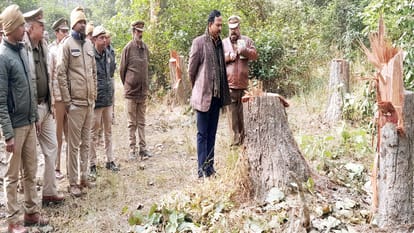 Chief Forest Conservator shocked to see illegal felling of trees in Khutar forest