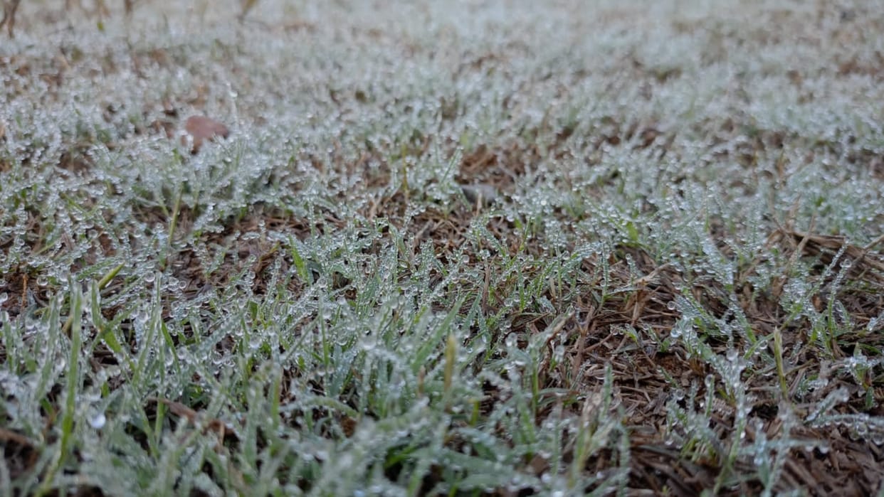 Shahdol Weather forecast Update Today Cold Wave Chilliness Increased Due To Drop In Minimum Temperature