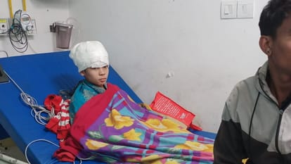 Dehradun News Leopard Attack on 12 year old child near Canal Road admitted to hospital