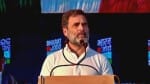 भारत जोड़ो न्याय यात्रा के दौरान राहुल गांधी