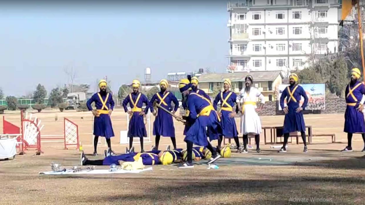 Army Day: soldiers demonstrated martial arts and war techniques in Anadale
