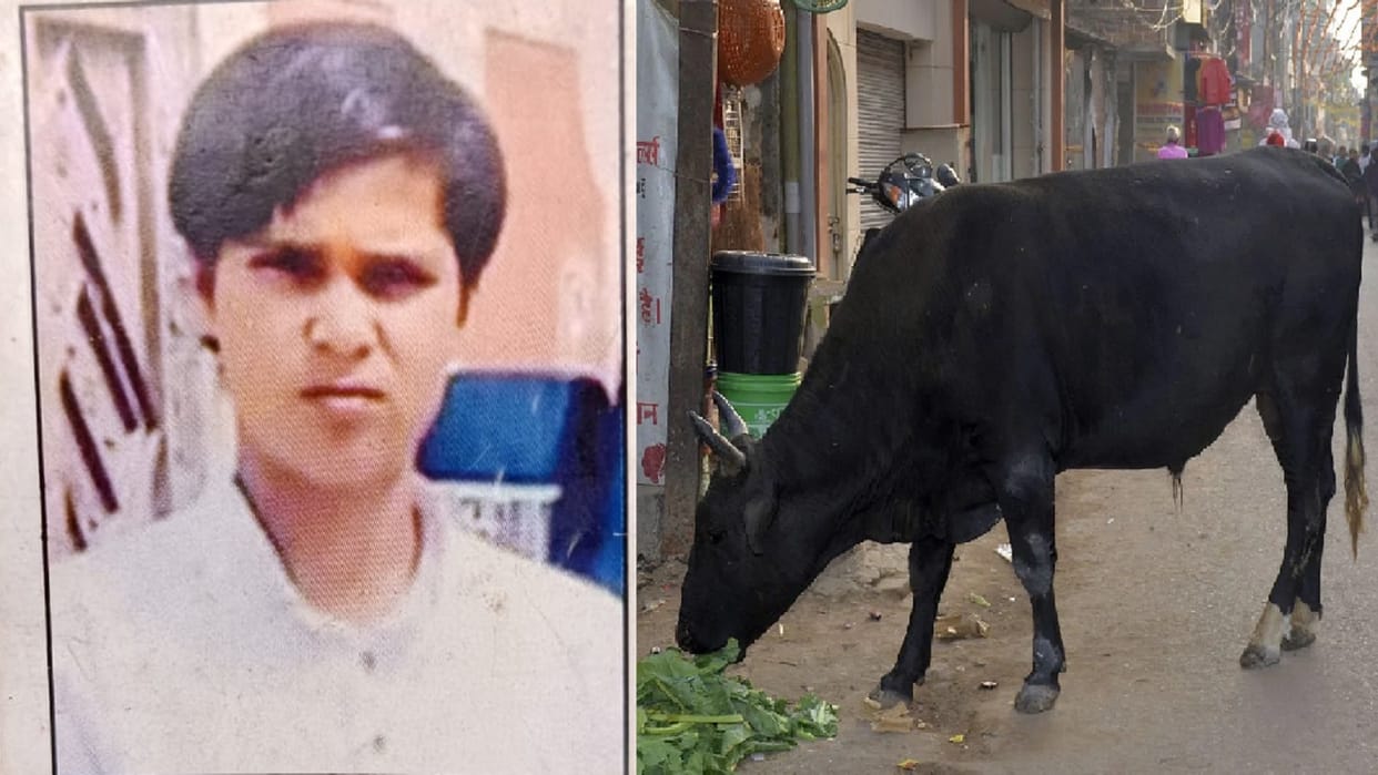 Teenager dies in bull attack in Barra Kanpur