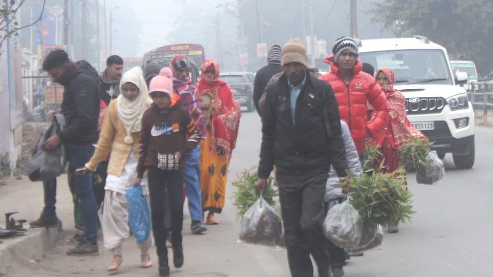 Weather Update: Cold weather in Moradabad, schools up to 8th closed till 20