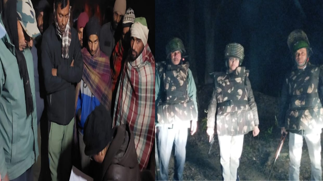 Tiger killed a girl in Amangarh Tiger Reserve, she had gone to the forest to collect fodder for the animals