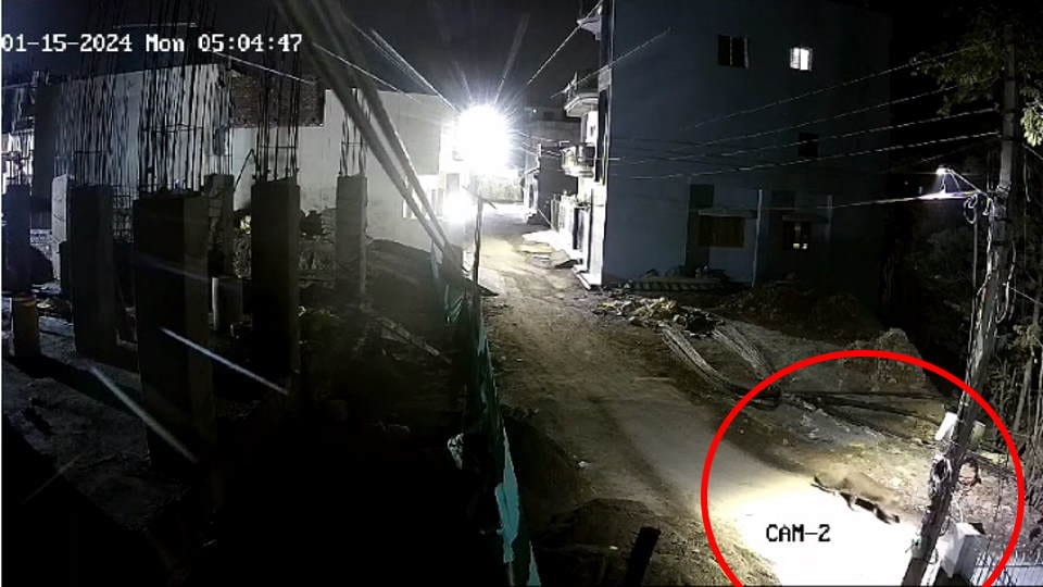 People left morning walks Guldar Terror in Dehradun Uttarakhand News in Hindi