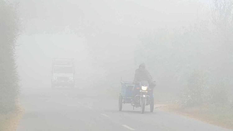 Punjab Weather Forecast Update Today Red Alert Of Fog In Seven Districts Of Punjab Amar Ujala