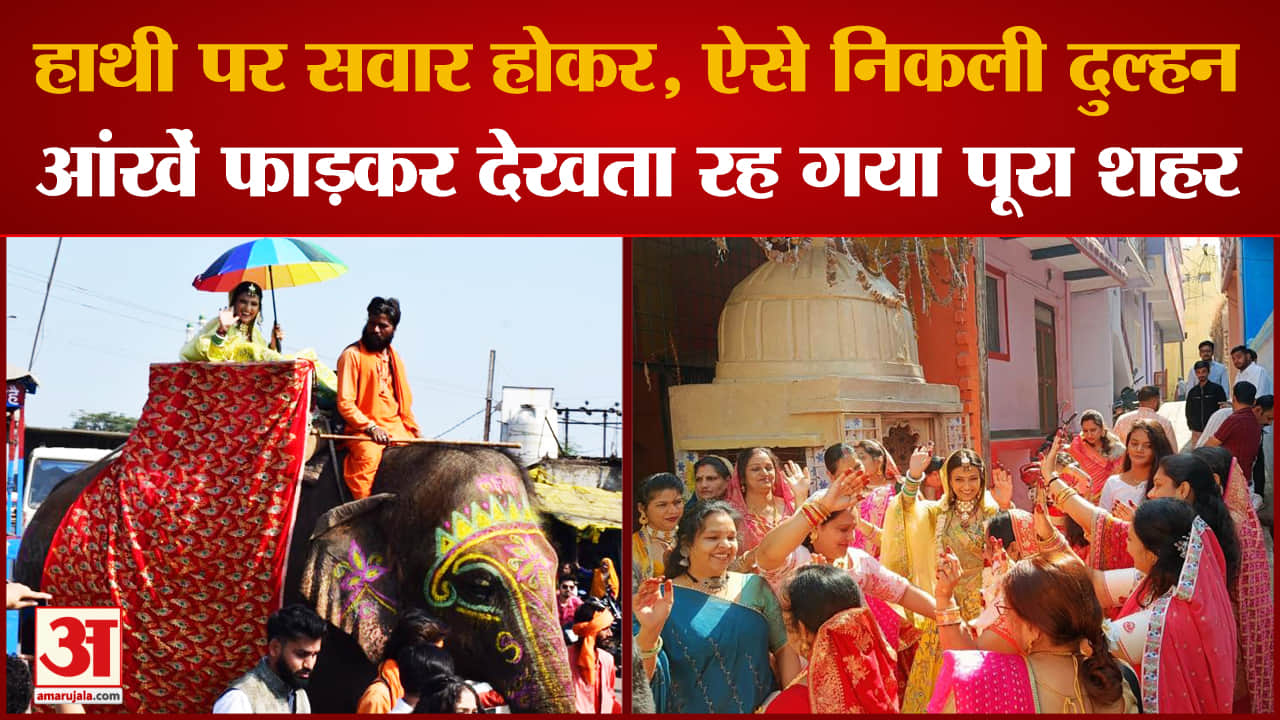 ऐसी शादी आपने देखी नहीं होगी कभी, हथिनी पर दुल्हन की धांसू Entry  देख हो जाएंगे Impress