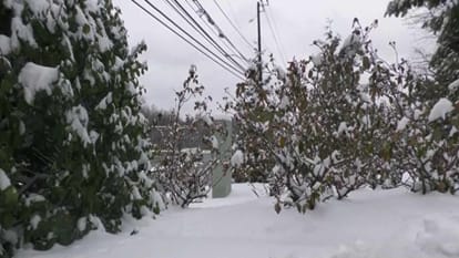 USA Record Low Temperatures Arctic Blast Sweeps Across America