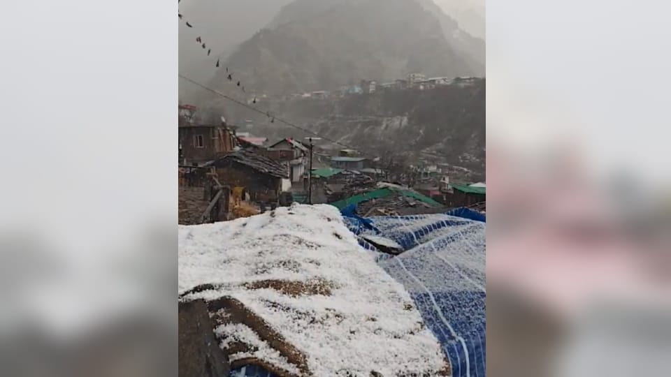 Uttarakhand Weather Update Today Snowfall in char dham and Auli after Long Time Photos