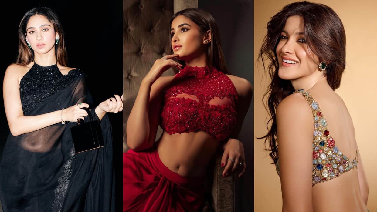 bollywood Star Kids Debut in 2024 Rasha Thadani Ibrahim Ali Khan Shanaya Kapoor name in the list