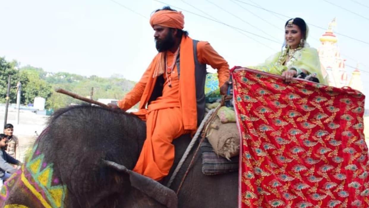 Rajgarh Girl Marriage Procession On Elephant