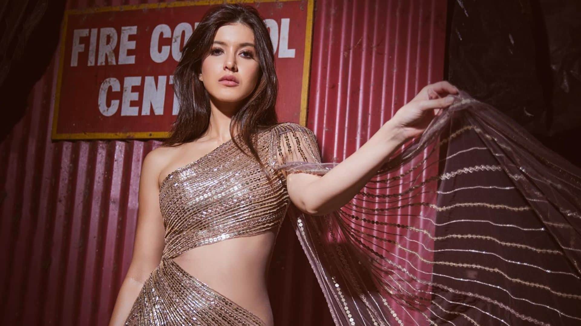bollywood Star Kids Debut in 2024 Rasha Thadani Ibrahim Ali Khan Shanaya Kapoor name in the list