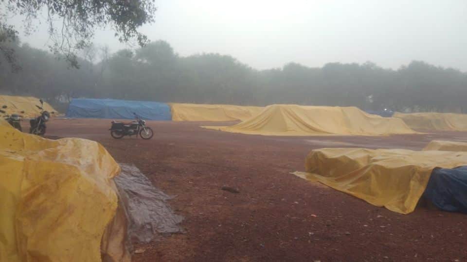 धान खरीदी बंद