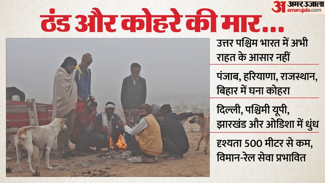 IMD Weather Update Fog Cold Flight Services Hit Indian Railways Train Delay Cancel