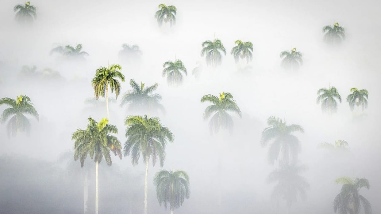 this place in Tamil Nadu Is Freezing At Near Zero Degrees know the reason