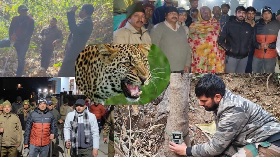 Leopard Terror in Dehradun cage, trap camera and 40 people team doing search Operation