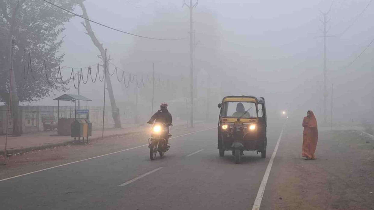 MP Weather News: Damoh again covered with white blanket of fog