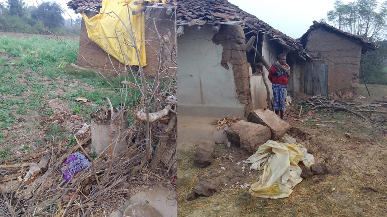Anuppur: A group of elephants made grain their diet by vandalizing two houses, creating havoc for two weeks.शह