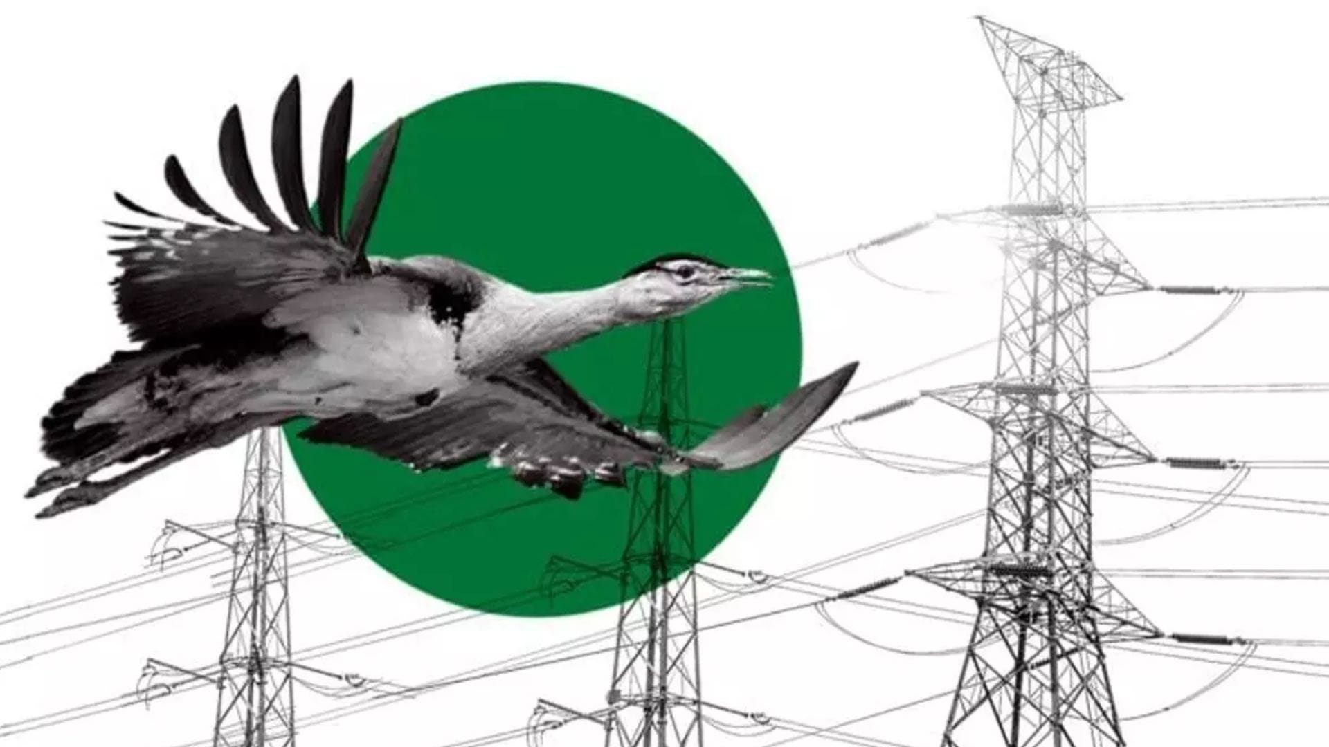 SC asks govt to come out with 'comprehensive' plan to save critically-endangered Great Indian Bustard
