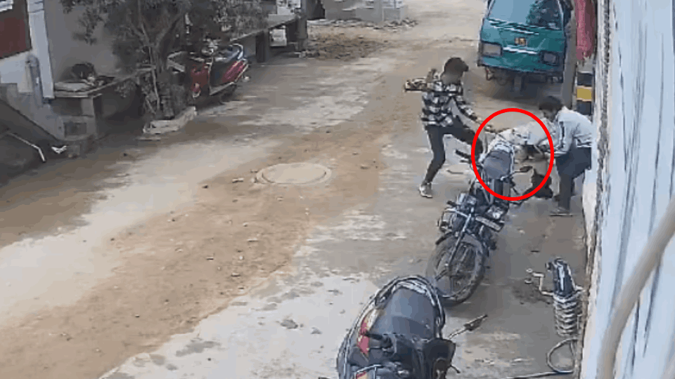 Neighbor pitbull dog badly injures girl in Burari