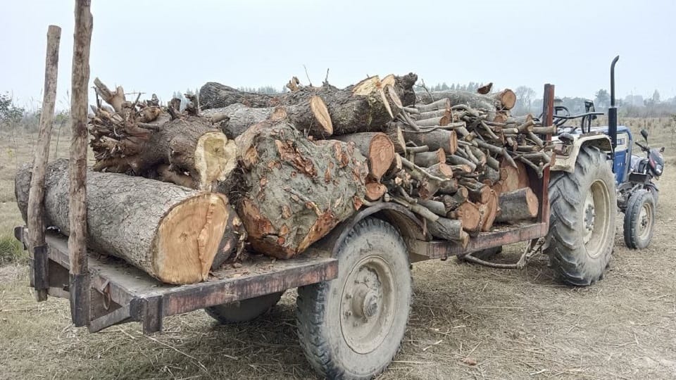 Villagers demonstrated against the forest department