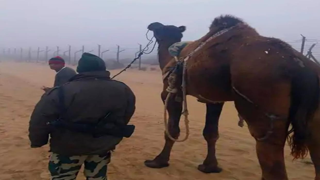 Rajasthan News: BSF's Operation Sard Hawa from today, high alert on the border to stop infiltration