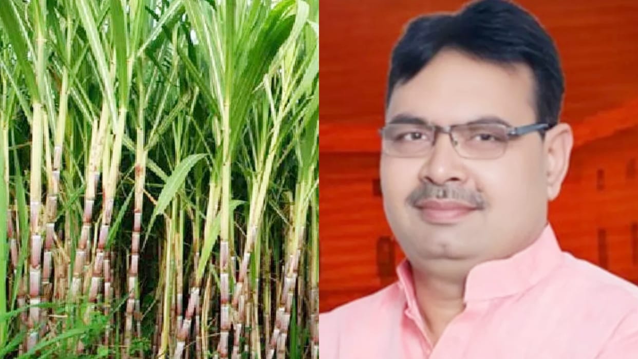 Rajasthan Bhajan Lal government increased the price of sugarcane purchase by Rs 11 per quintal
