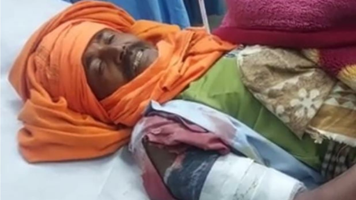 Rewari: Tiger hiding in mustard field attacked home guard